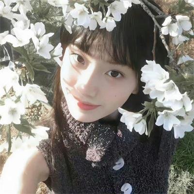 阁楼里的花